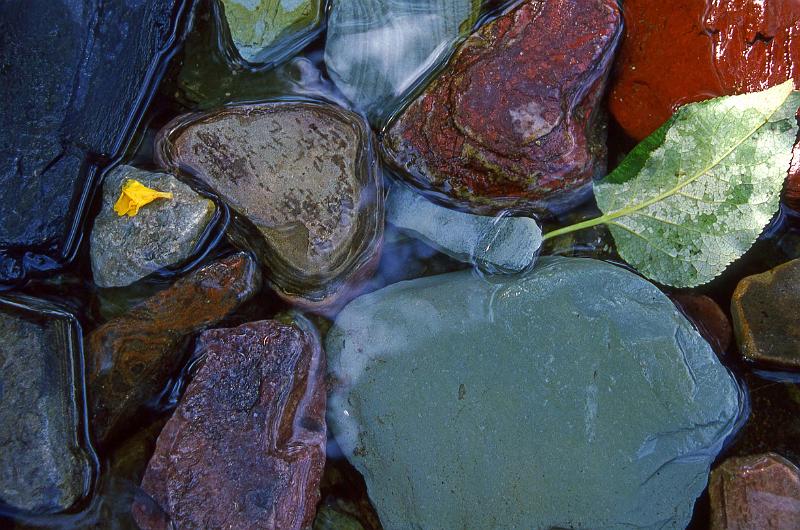 Glacier National Park Aug 1990.jpg